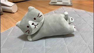 【実験】子猫はぬいぐるみに嫉妬してくれるのか