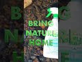 Charlie's Soap brings Nature Home