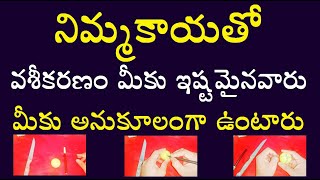 నిమ్మకాయతో వశీకరణం మీకు ఇష్టమైనవారు మీకు అనుకూలంగా ఉంటారు