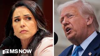 What really pushed Tulsi Gabbard to resign as DNI