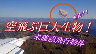 UFO宇宙人【衝撃映像】使徒・襲来？ニュージーランド上空で発見された気味悪い未確認飛行物体！UFO Spirit Pictures