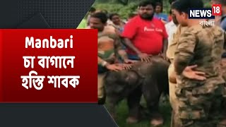 Abar Bangla: Basirhat-এ BJPর বৈঠকে গোষ্ঠীদ্বন্দ্ব । Malbajar-এ Manbari চা বাগানে উদ্ধার হস্তি শাবক