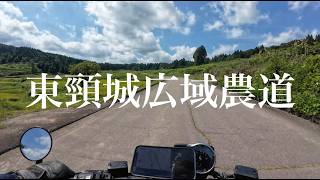 東頸城広域農道｜走るだけの動画｜2024/09/06｜ドゥカティ スクランブラー ナイトシフト｜DUCATI Scrambler Nightshift