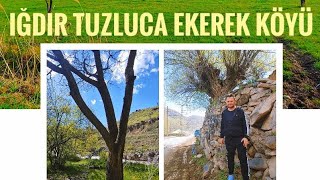 IĞDIR TUZLUCA EKEREK KÖYÜ