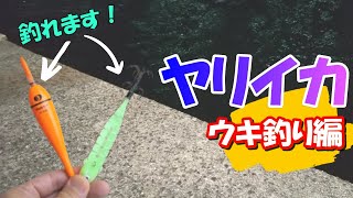 【衝撃！】シーズン開幕！ヤリイカは堤防ウキ釣りでこんなに簡単にゲットできます。。【釣り方解説】