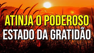 MEDITAÇÃO DA MANHÃ PARA ATINGIR O PODEROSO ESTADO DA GRATIDÃO