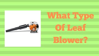 What Type Of Leaf Blower?