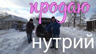 Продаю Нутрий