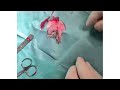 rabbit castration closed technique