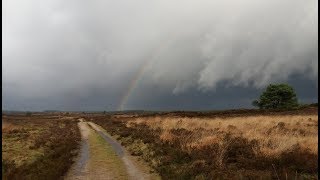 Weerbericht maandag:  Veel regen