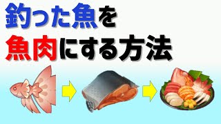 「釣った魚を魚肉にして料理に使う方法」　ver2.1　稲妻　攻略　原神　 Genshin impact