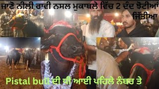 Dlfa ਚੜਿੱਕ ਮੇਲੇ ਵਿੱਚ 2‌ ਦੰਦ ਝੋਟੀਆਂ ਨੀਲੀ ਰਾਵੀ ਨਸ਼ਲ ਦੇ ਮੁਕਾਬਲੇ ਵਿੱਚ ਕਿਹੜੀਆਂ ਆਇਆ 1,2,3 ਤੇ ‌।