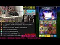 ☆星ドラ☆星のドラゴンクエスト☆ライブ配信　ときどき猫　5 4　＃791回　すみぽて村