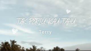 Terry - Tak Perlu Kau Tahu (Unofficial Lyric Video)