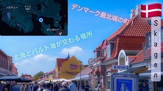 【デンマーク最北端の地 スケーエン！】最北端の場所でサイクリング・自然・美術・町並みを堪能した一日。【のりのリトアニア留学日記36】#denmark #skagen #kopenhagen #観光