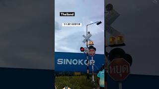 【タイの鉄道vol.18】すれ違う貨物列車  #ktタイ鉄道 #ktタイ旅 #kt踏切 #kt鉄道