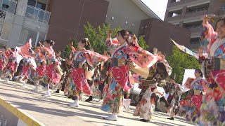 夏の恒例イベント「うらじゃ」　コロナ禍前と同規模で開催へ　岡山市が方針固める