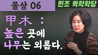 물상 06  /  甲木 : 높은 곳에 나무는 외롭다. [민조 역학학당]