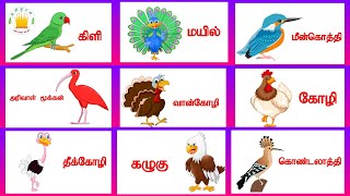 தமிழரசி-பறவைகள்|Learn Birds Names in Tamil for Kids \u0026 children |Tamilarasi