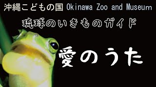 琉球のいきものガイド【愛のうた】