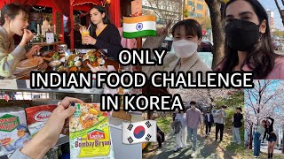 🇰🇷24 HOURS INDIAN FOOD CHALLENGE IN KOREA🇮🇳 | Korean spring 🌸cooking & shopping 🛍