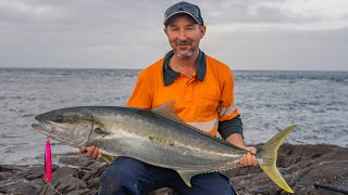 BIG kingfish land based in Tasmania!