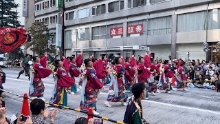 kagura（サイド）東京よさこい2024［本祭］アゼリア通り会場