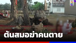 ชาวบ้านผวาคนตัดต้นสมออายุ 100 ปี ตายต่อเนื่อง 2 ศพ | ข่าวช่อง8