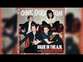 One Direction - Perfect (Vocals Stems)