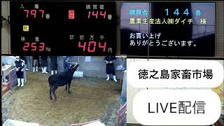 徳之島家畜市場 のライブ配信（令和5年 4月1日目)