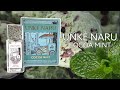 Review Parfum Lokal | Unke Naru - Cocoa Mint