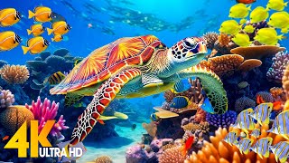 Ocean 4K - Sea Animals for Relaxation, Beautiful Coral Reef Fish in Aquarium (4K