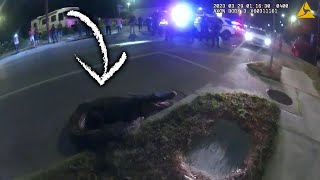 Brave Cop Wrangles Alligator in Street in Florida