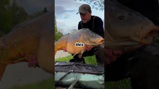 47lb French river carp