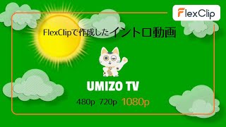 簡単オンライン動画編集ソフト「FlexClip」で作成したオープニングムービーの画質比較　1080p