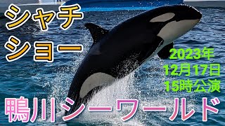 ボイコット？？？　疲れちゃった？？？　２頭でシャチパフォーマンスショー。。。🌸2023年12月17日1５時公演 鴨川シーワールドNo63　Kamogawa SeaWorld