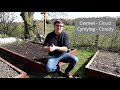 learn welsh lesson 4 transplanting seedlings and describing the weather