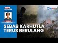 Puntung Rokok Penyebab Kebakaran Hutan & Lahan di Kalimantan Tengah, Pemilik Diminta Wajib Lapor