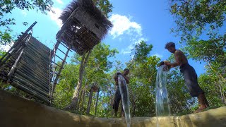 Build Most Tree House And Bamboo Water Slide Swimming Pools