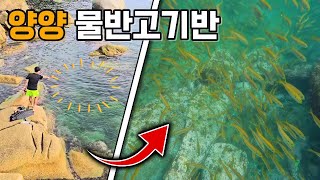 양양해변 | 물반고기반 | 한적한 해변 | 스노클링포인트 추천 🐠🌊