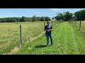 BEEF MINUTES 26:  Tall Fescue