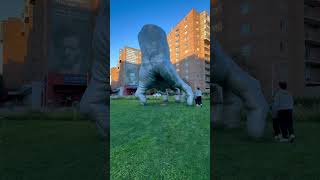 Case Western Reserve University