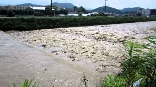 賀茂川激流③