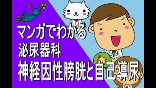 【女性泌尿器科】神経因性膀胱と間欠的自己導尿