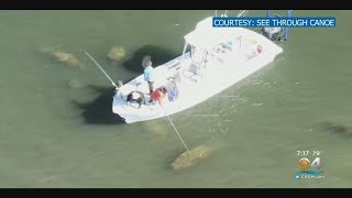 Fwc Investigates Manatee Interaction