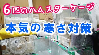 【ハムスター多頭飼いする前にこの動画みて】冬の寒さ対策が大変でした