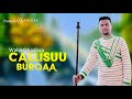 Wabii Dhaabaa - Callisuu Burqaa - Ethiopian Oromo Music 2020 [Official Video]