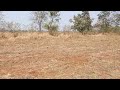 agricultural land for sale bidar humnabad 10 acres 16 laks par acre