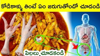 కోడికాళ్లను తినడం వల్ల కలిగే 10 లాభాలు  | Chicken Wings benefits in telugu