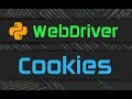 Selenium Webdriver - Cookies with Python WebDriver